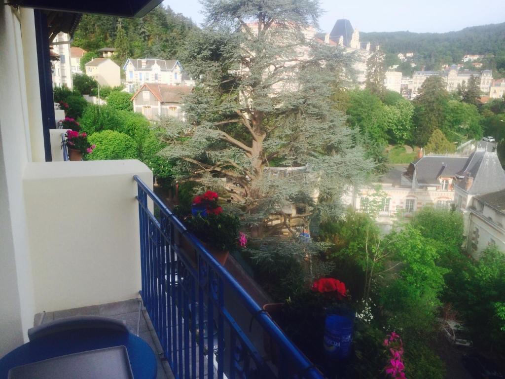 Bellevue Hotel Châtel-Guyon Kültér fotó